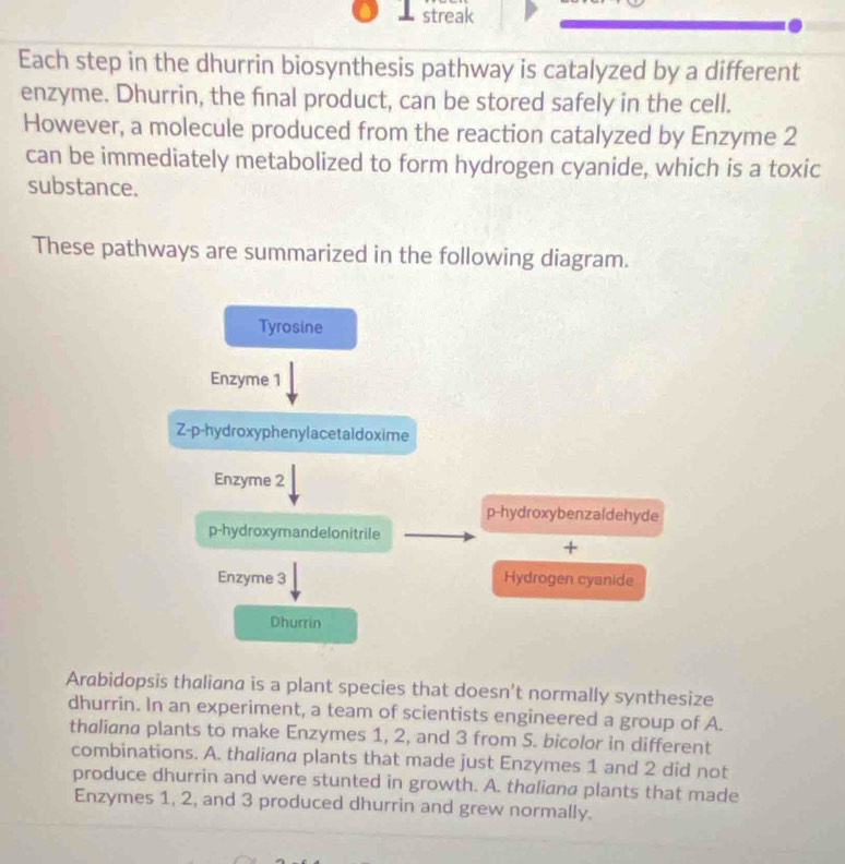 streak 
Each step in the dhurrin biosynthesis pathway is catalyzed by a different 
enzyme. Dhurrin, the fnal product, can be stored safely in the cell. 
However, a molecule produced from the reaction catalyzed by Enzyme 2
can be immediately metabolized to form hydrogen cyanide, which is a toxic 
substance. 
These pathways are summarized in the following diagram. 
Tyrosine 
Enzyme 1
Z-p-hydroxyphenylacetaldoxime 
Enzyme 2
p-hydroxybenzaldehyde 
p-hydroxymandelonitrile 
+ 
Enzyme 3 Hydrogen cyanide 
Dhurrin 
Arabidopsis thaliana is a plant species that doesn't normally synthesize 
dhurrin. In an experiment, a team of scientists engineered a group of A. 
thaliana plants to make Enzymes 1, 2, and 3 from S. bicolor in different 
combinations. A. thaliana plants that made just Enzymes 1 and 2 did not 
produce dhurrin and were stunted in growth. A. thaliana plants that made 
Enzymes 1, 2, and 3 produced dhurrin and grew normally.