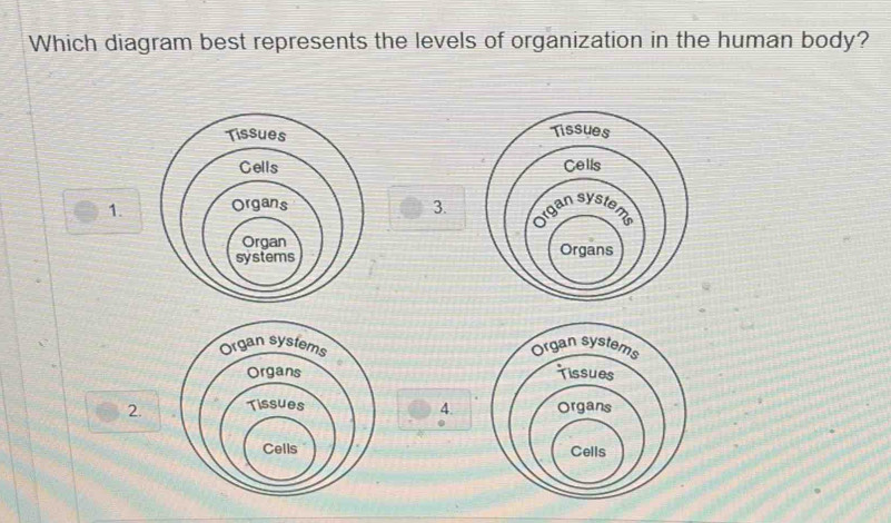 Solved: Which diagram best represents the levels of organization in the ...