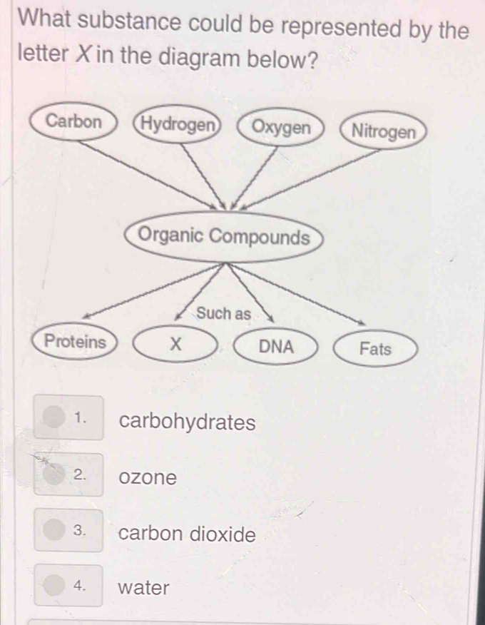 What substance could be represented by the
letter Xin the diagram below?
1. carbohydrates
2. ozone
3. carbon dioxide
4. water