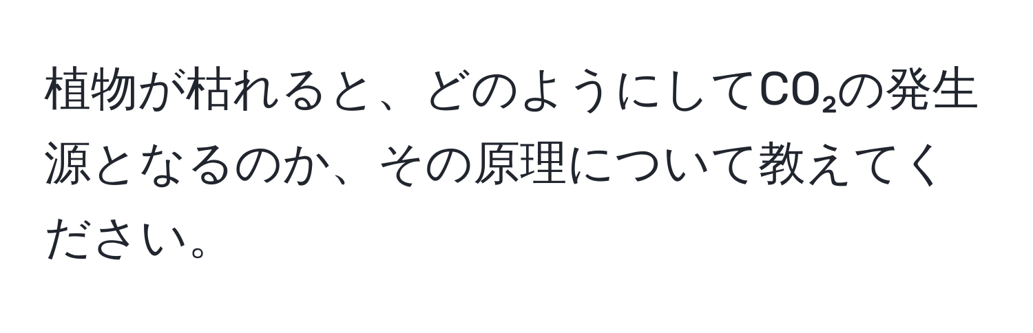 植物が枯れると、どのようにしてCO₂の発生源となるのか、その原理について教えてください。