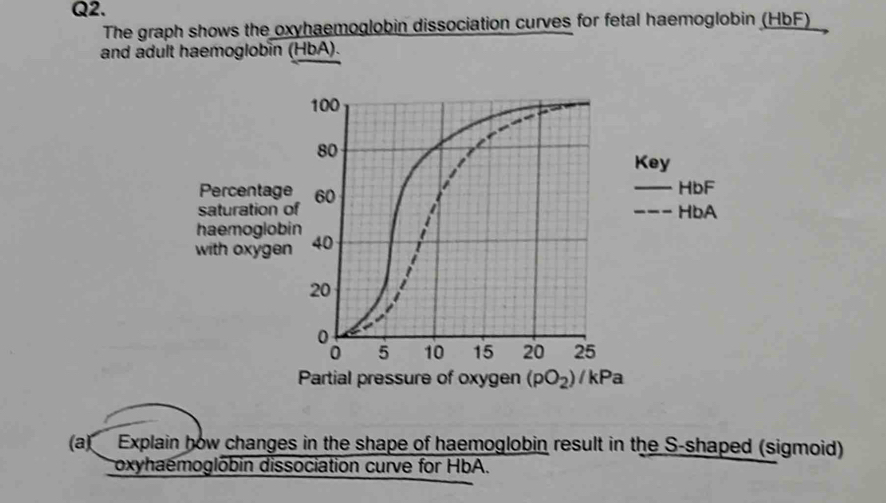 Solved: The graph shows the oxyhaemoglobin dissociation curves for ...