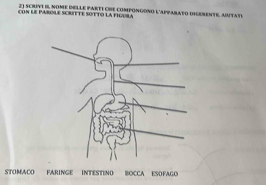 SCRIVI IL NOME DELLE PARTI CHE COMPONGONO L'APPARATO DIGERENTE. AIUTATI 
CON LE PAROLÉ SCRITTE SOTTO LA FIGURA 
STOMACO FARINGE INTESTINO BOCCA ESOFAGO