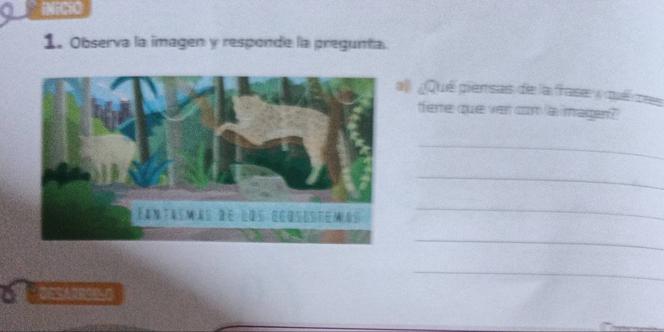 Observa la imagen y responde la pregunta. 
l ¿Qué piensas de la frase y qué ces 
fere que ver con a magen?' 
_ 
_ 
_ 
_ 
_