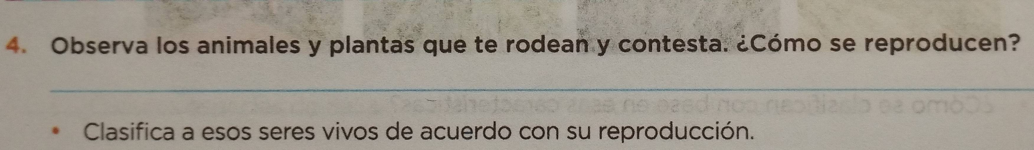 Observa los animales y plantas que te rodean y contesta. ¿Cómo se reproducen? 
__ 
Clasifica a esos seres vivos de acuerdo con su reproducción.
