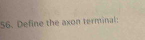 Define the axon terminal: