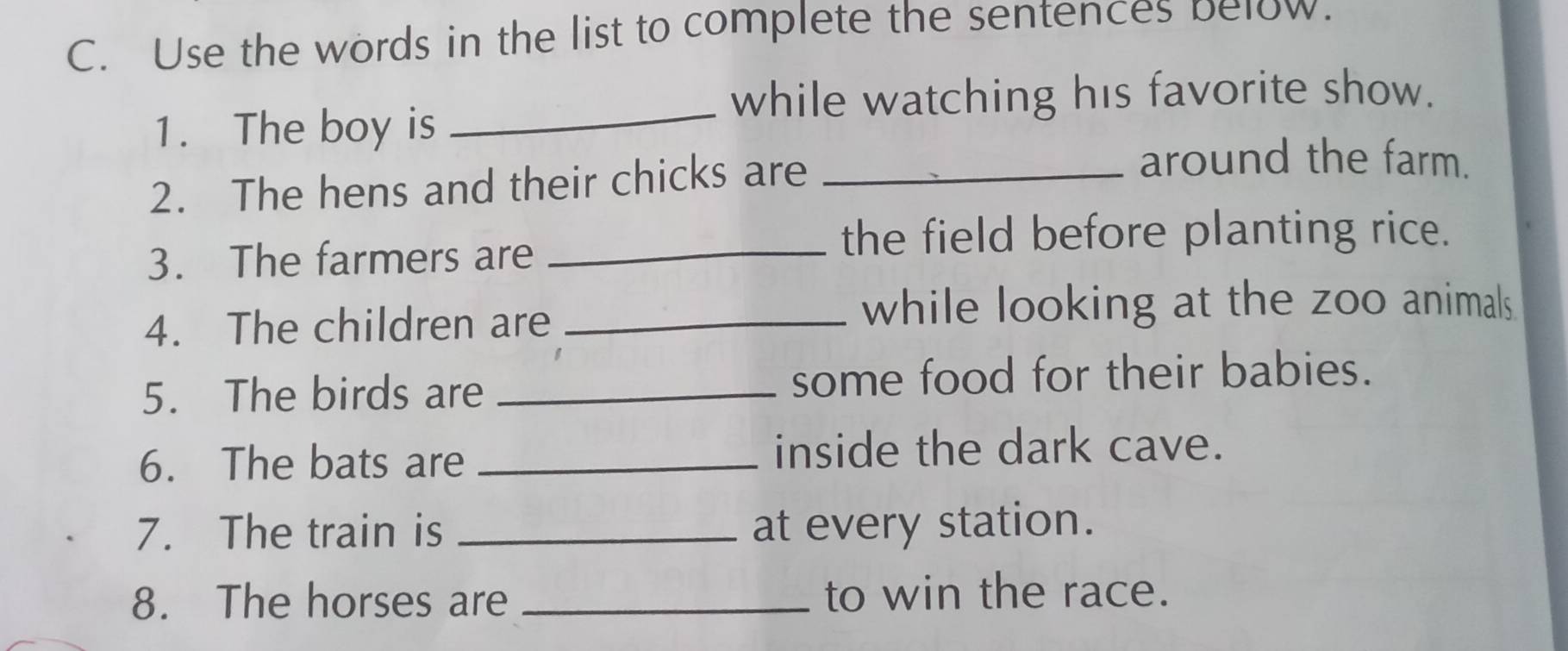 Use the words in the list to complete the sentences below. 
_ 
while watching his favorite show. 
1. The boy is 
2. The hens and their chicks are_ 
around the farm. 
3. The farmers are_ 
the field before planting rice. 
4. The children are_ 
while looking at the zoo animals 
5. The birds are _some food for their babies. 
6. The bats are _inside the dark cave. 
7. The train is _at every station. 
8. The horses are _to win the race.