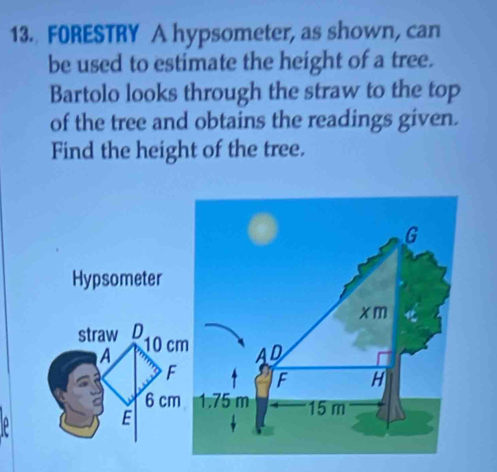 Solved: FORESTRY A hypsometer, as shown, can be used to estimate the ...