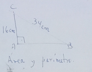 Area y perimatro.