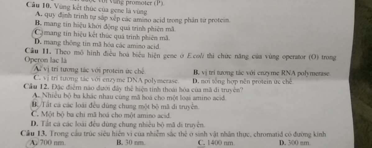 promoter (P).
Câu 10. Vùng kết thúc của gene là vùng
A. quy định trình tự sắp xếp các amino acid trong phân tử protein.
B. mang tín hiệu khởi động quá trình phiên mã
C mang tín hiệu kết thúc quá trình phiên mã.
D. mang thông tin mã hóa các amino acid.
Câu 11. Theo mô hình điều hoà biểu hiện gene ở E.coli thì chức năng của vùng operator (O) trong
Operon lạc là
A vị trí tương tác với protein ức chế B. vị trí tương tác với enzyme RNA polymerase.
C. vị trí tương tác với enzyme DNA polymerase. D. nơi tổng hợp nên protein ức chế
Cầu 12. Đặc điểm nào dưới đây thể hiện tính thoái hóa của mã di truyền?
A. Nhiều bộ ba khác nhau cùng mã hoá cho một loại amino acid.
B. Tất cả các loài đều dùng chung một bộ mã di truyền.
C. Một bộ ba chi mã hoá cho một amino acid.
D. Tất cả các loài đều dùng chung nhiều bộ mã di truyền.
Câu 13. Trong cầu trúc siêu hiện vi của nhiễm sắc thể ở sinh vật nhân thực, chromatid có đường kính
A. 700 nm. B. 30 nm. C. 1400 nm. D. 300 nm.