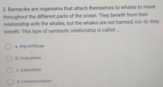 Barnacles are organisms that attach themselves to whales to move
throughout the different parts of the ocean. They benefit from their
relationship with the whales, but the whales are not harmed, nor do they
benefit. This type of symbiotic relationship is called ...
a. mycorrhizae
b. mutualism
c. parasitism
d. commensalism