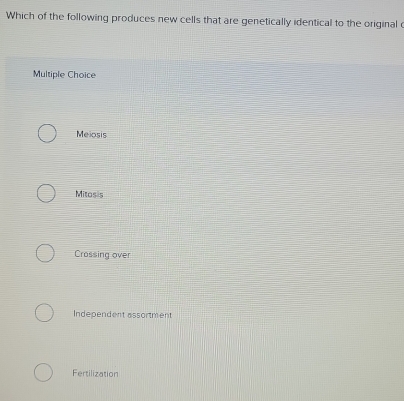 Which of the following produces new cells that are genetically identical to the original o
Multiple Choice
Meiosis
Mitosis
Crossing over
Independent assortment
Fertilization