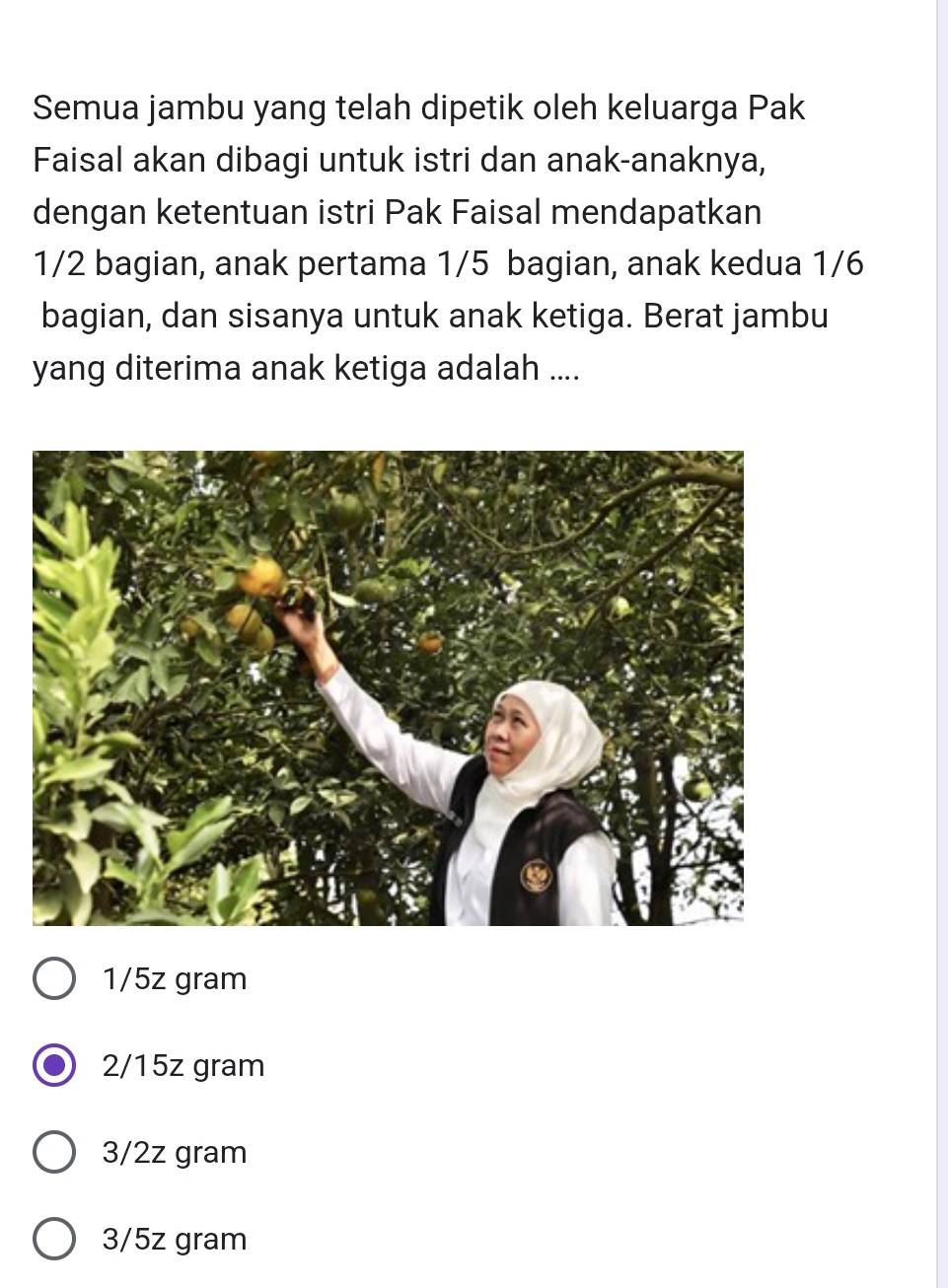 Semua jambu yang telah dipetik oleh keluarga Pak
Faisal akan dibagi untuk istri dan anak-anaknya,
dengan ketentuan istri Pak Faisal mendapatkan
1/2 bagian, anak pertama 1/5 bagian, anak kedua 1/6
bagian, dan sisanya untuk anak ketiga. Berat jambu
yang diterima anak ketiga adalah ....
1/5z gram
2/15z gram
3/2z gram
3/5z gram