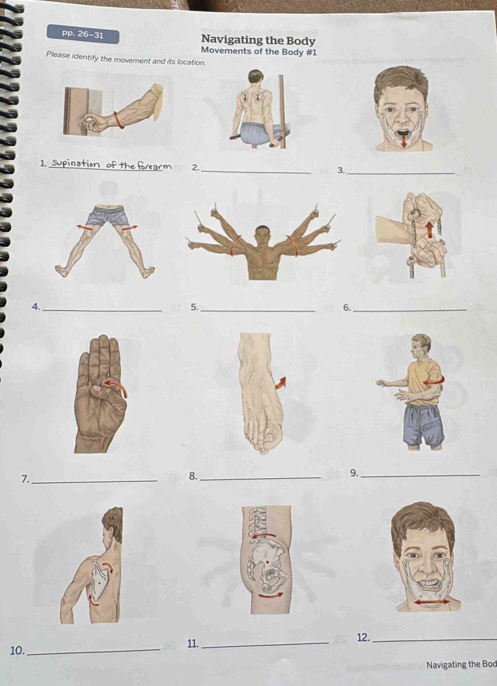 Solved: pp. 26-31 Navigating the Body Movements of the Body #1 Please ...