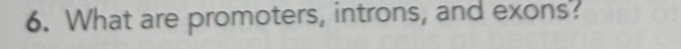 What are promoters, introns, and exons.