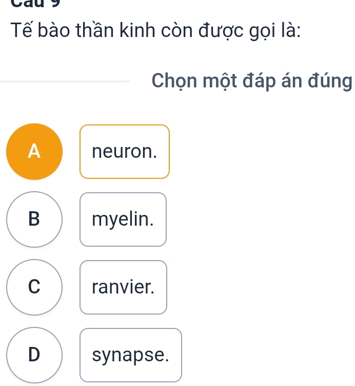 Cau 
Tế bào thần kinh còn được gọi là:
Chọn một đáp án đúng
A neuron.
B myelin.
C ranvier.
D synapse.