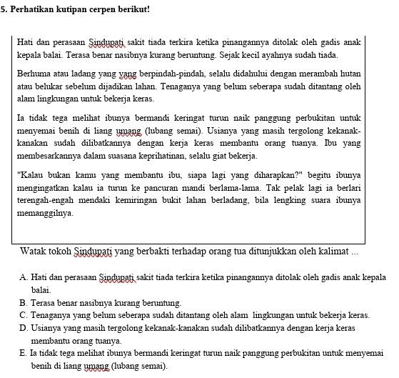 Perhatikan kutipan cerpen berikut!
Hati dan perasaan Şindupati sakit tiađa terkira ketika pinangannya ditolak oleh gadis anak
kepala balai. Terasa benar nasibnya kurang beruntung. Sejak kecil ayahnya sudah tiada.
Berhuma atau ladang yang yang berpindah-pindah, selalu didahului dengan merambah hutan
atau belukar sebelum dijadikan lahan. Tenaganya yang belum seberapa sudah ditantang oleh
alam lingkungan untuk bekerja keras.
Ia tidak tega melihat ibunya bermandi keringat turun naik panggung perbukitan untuk
menyemai benih di liang umang (lubang semai). Usianya yang masih tergolong kekanak-
kanakan sudah dilibatkannya dengan kerja keras membantu orang tuanya. Ibu yang
membesarkannya dalam suasana keprihatinan, selalu giat bekerja.
"Kalau bukan kamu yang membantu ibu, siapa lagi yang diharapkan?" begitu ibunya
mengingatkan kalau ia turun ke pancuran mandi berlama-lama. Tak pelak lagi ia berlari
terengah-engah mendaki kemiringan bukit lahan berladang, bila lengking suara ibunya
memanggilnya.
Watak tokoh Şindupati yang berbakti terhadap orang tua ditunjukkan oleh kalimat ...
A. Hati dan perasaan Şindupati sakit tiada terkira ketika pinangannya ditolak oleh gadis anak kepala
balai
B. Terasa benar nasibnya kurang beruntung.
C. Tenaganya yang belum seberapa sudah ditantang oleh alam lingkungan untuk bekerja keras.
D. Usianya yang masih tergolong kekanak-kanakan sudah dilibatkannya dengan kerja keras
membantu orang tuanya.
E. Ia tidak tega melihat ibunya bermandi keringat turun naik panggung perbukitan untuk menyemai
benih di liang umang (lubang semai).