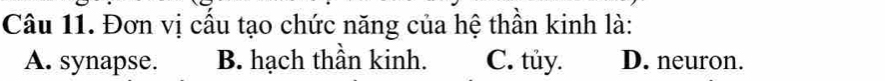 Đơn vị cầu tạo chức năng của hệ thần kinh là:
A. synapse. B. hạch thần kinh. C. tủy. D. neuron.