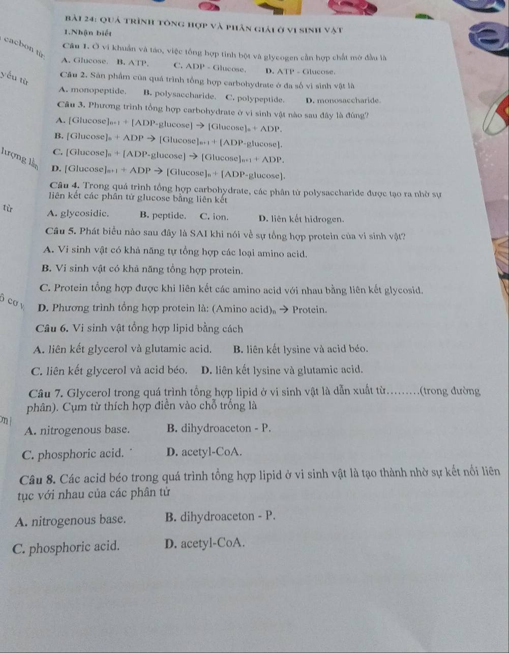 Quá trình tông hợp và phân giải ở vi sinh vật
1.Nhận biết
cacbon từ
Câu I. Ở vi khuẩn và táo, việc tổng hợp tinh bột và glycogen cần hợp chất mở đầu là
A. Glucose. B. A'TP. C. ADP - Glucose. D. ATP - Glucose.
yếu từ
Câu 2. Sân phẩm của quá trình tổng hợp carbohydrate ở đa số vi sinh vật là
A. monopeptide. B. polysaccharide. C. polypeptide. D. monosaccharide
Câu 3. Phương trình tổng hợp carbohydrate ở vì sinh vật nào sau đây là đúng?
A. [Glucose] |a+1|ADP_-| glucose] → [Glucose ln +ADP.
B. [Glucose] _n+ADP [Glucose I_n+|+|ADP -glucose].
C. [Glucose] _n+[ADP-g lucose] → [Glucose] |a+1+ADP.
lượng lần D. [Glucose] _n+1+ADPto [Glucos e]_n+[ADP. -glucose].
Câu 4. Trong quá trình tổng hợp carbohydrate, các phân từ polysaccharide được tạo ra nhờ sự
liên kết các phân tử glucose bằng liên kết
tù A. glycosidic. B. peptide. C. ion. D. liên kết hidrogen.
Câu 5. Phát biểu nào sau đây là SAI khi nói về sự tổng hợp protein của vi sinh vật?
A. Vi sinh vật có khả năng tự tổng hợp các loại amino acid.
B. Vi sinh vật có khả năng tổng hợp protein.
C. Protein tổng hợp được khi liên kết các amino acid với nhau bằng liên kết glycosid.
cơ
D. Phương trình tổng hợp protein là: (Amino acid)' → Protein.
Câu 6. Vi sinh vật tổng hợp lipid bằng cách
A. liên kết glycerol và glutamic acid. B. liên kết lysine và acid béo.
C. liên kết glycerol và acid béo. D. liên kết lysine và glutamic acid.
Câu 7. Glycerol trong quá trình tổng hợp lipid ở vi sinh vật là dẫn xuất từ........(trong đường
phân). Cụm từ thích hợp điền vào chỗ trống là
on l
A. nitrogenous base. B. dihydroaceton - P.
C. phosphoric acid. D. acetyl-CoA.
Câu 8. Các acid béo trong quá trình tổng hợp lipid ở vi sinh vật là tạo thành nhờ sự kết nổi liên
tục với nhau của các phân tử
A. nitrogenous base. B. dihydroaceton - P.
C. phosphoric acid. D. acetyl-CoA.