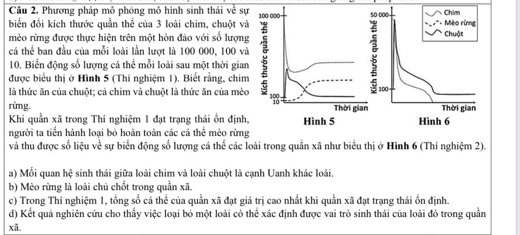 Phương pháp mô phỏng mô hình sinh thái về sự 0 000 - Chim 
biến đồi kích thước quần thể của 3 loài chim, chuột vàMèo rừng 
mèo rừng được thực hiện trên một hòn đảo với số lượngChuột 
cá thể ban đầu của mỗi loài lần lượt là 100 000, 100 và 
10. Biến động số lượng cá thể mỗi loài sau một thời gian 
được biểu thị ở Hình 5 (Thí nghiệm 1). Biết rằng, chim 
là thức ăn của chuột; cả chim và chuột là thức ăn của mèo 
g
100 - 
rừng. Thời gian 
Khi quần xã trong Thí nghiệm 1 đạt trạng thái ổn định, Hình 6
người ta tiến hành loại bỏ hoàn toàn các cá thể mèo rừng 
và thu được số liệu về sự biến động số lượng cá thế các loài trong quần xã như biểu thị ở Hình 6 (Thí nghiệm 2). 
a) Mối quan hệ sinh thái giữa loài chim và loài chuột là cạnh Uanh khác loài. 
b) Mèo rừng là loài chủ chốt trong quần xã. 
c) Trong Thí nghiệm 1, tổng số cá thể của quần xã đạt giá trị cao nhất khi quần xã đạt trạng thái ổn định. 
d) Kết quả nghiên cứu cho thấy việc loại bỏ một loài có thể xác định được vai trò sinh thái của loài đó trong quần
xã.