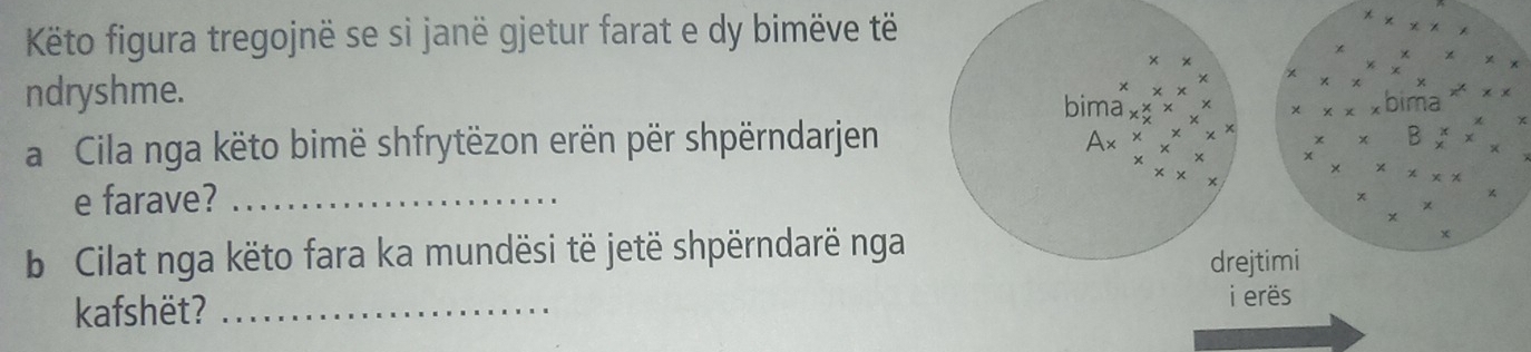 Këto figura tregojnë se si janë gjetur farat e dy bimëve të 
ndryshme. x
bima x_y^(x* × 
a Cila nga këto bimë shfrytëzon erën për shpërndarjen 
△ beginarray)r xxx xxxendarray
xx
x* x* x
e farave?_ 
b Cilat nga këto fara ka mundësi të jetë shpërndarë nga 
drejtimi 
kafshët? _i erës