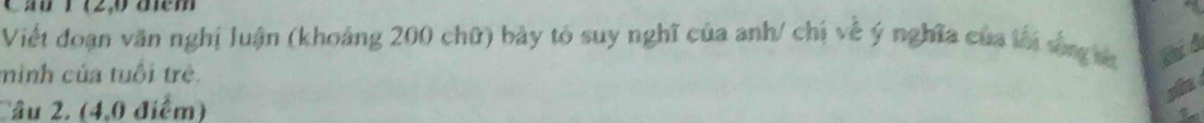 diem 
Viết đoạn văn nghị luận (khoảng 200 chữ) bảy to suy nghĩ của anh/ chi về ý nghĩa của lới vng s 
minh của tuổi trẻ. 
Câu 2. (4,0 điểm)