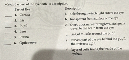 Match the part of the eye with its description.
Part of Eye Description
_
1. Cornea a. hole through which light enters the eye
_
2. Iris b. transparent front surface of the eye
_3. Pupil c. short, thick nerve through which signals
4. Lens travel to the brain from the eye
_5. Retina d. ring of muscle around the pupil
_6. Optic nerve e. curved part of the eye behind the pupil,
that refracts light
f. layer of cells lining the inside of the
eyeball