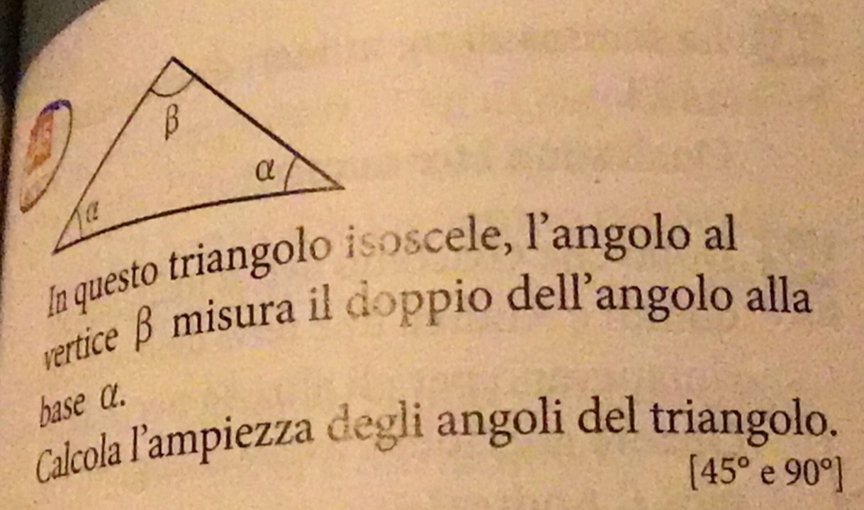 vertice β misura il doppio dell'angolo alla 
base α. 
Calcola l'ampiezza degli angoli del triangolo.
[45° e 90°]