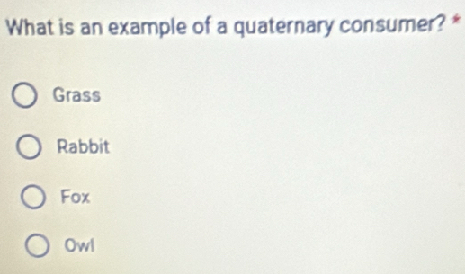 What is an example of a quaternary consumer? *
Grass
Rabbit
Fox
Owl