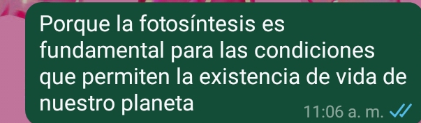 Porque la fotosíntesis es
fundamental para las condiciones
que permiten la existencia de vida de
nuestro planeta a. m.
11:06