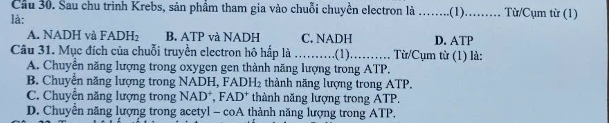 Cầu 30. Sau chu trình Krebs, sản phẩm tham gia vào chuỗi chuyền electron là ……..(1).…. Từ/Cụm từ (1)
là:
A. NADH và FADH_2 B. ATP và NADH C. NADH D. ATP
Câu 31. Mục đích của chuỗi truyền electron hô hấp là _(1)_ Từ/Cụm từ (1) là:
A. Chuyển năng lượng trong oxygen gen thành năng lượng trong ATP.
B. Chuyển năng lượng trong NADH, FA DH 2 thành năng lượng trong ATP.
C. Chuyển năng lượng trong NAD *, I AD^+ thành năng lượng trong ATP.
D. Chuyền năng lượng trong acetyl - coA thành năng lượng trong ATP.