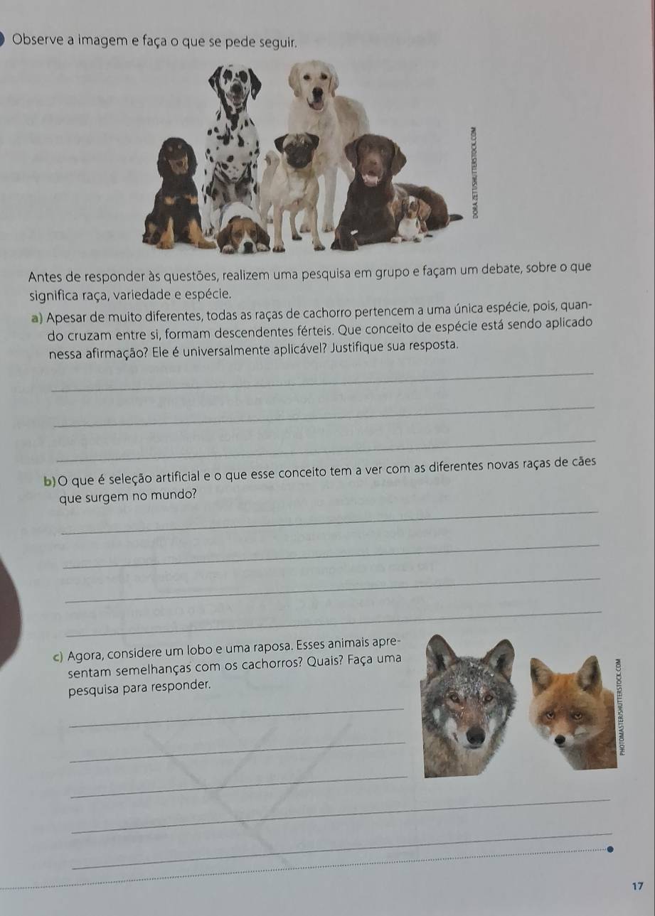 Observe a imagem e faça o que se pede seguir. 
Antes de responder às questões, realizem uma pesquisa em grupo e façam um debate, sobre o que 
significa raça, variedade e espécie. 
a) Apesar de muito diferentes, todas as raças de cachorro pertencem a uma única espécie, pois, quan- 
do cruzam entre si, formam descendentes férteis. Que conceito de espécie está sendo aplicado 
nessa afirmação? Ele é universalmente aplicável? Justifique sua resposta. 
_ 
_ 
_ 
b)O que é seleção artificial e o que esse conceito tem a ver com as diferentes novas raças de cães 
_ 
que surgem no mundo? 
_ 
_ 
_ 
c) Agora, considere um lobo e uma raposa. Esses animais apre- 
sentam semelhanças com os cachorros? Quais? Faça uma 
pesquisa para responder. 
_ 
_ 
_ 
_ 
_ 
17