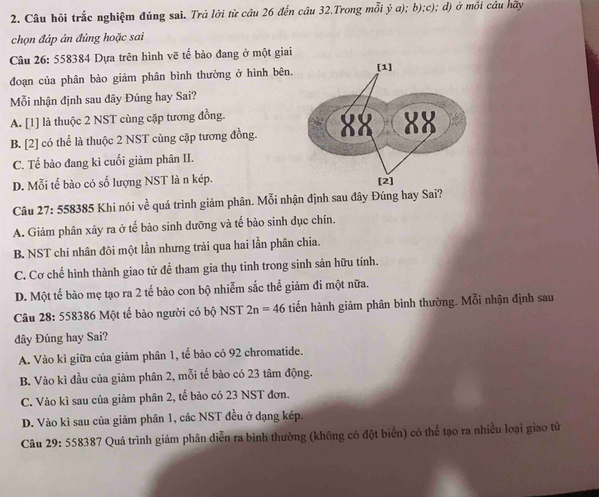 Câu hỏi trắc nghiệm đúng sai. Trả lời từ câu 26 đến câu 32.Trong mỗi ý a); b);c); d) ở mỗi câu hãy
chọn đáp án đúng hoặc sai
Câu 26: 558384 Dựa trên hình vẽ tế bào đang ở một giai
đoạn của phân bào giảm phân bình thường ở hình bên.
Mỗi nhận định sau đây Đúng hay Sai?
A. [1] là thuộc 2 NST cùng cặp tương đồng.
B. [2] có thể là thuộc 2 NST cùng cặp tương đồng.
C. Tế bào đang kì cuối giảm phân II.
D. Mỗi tế bào có số lượng NST là n kép. 
Câu 27: 558385 Khi nói về quá trình giảm phân. Mỗi nhận định sau đây Đúng hay Sai?
A. Giảm phân xảy ra ở tế bào sinh dưỡng và tế bào sinh dục chín.
B. NST chỉ nhân đôi một lần nhưng trải qua hai lần phân chia.
C. Cơ chế hình thành giao tử để tham gia thụ tinh trong sinh sản hữu tính.
D. Một tế bào mẹ tạo ra 2 tế bào con bộ nhiễm sắc thể giảm đi một nữa.
Câu 28: 558386 Một tế bào người có bộ NST 2n=46 tiến hành giảm phân bình thường. Mỗi nhận định sau
đây Đúng hay Sai?
A. Vào kì giữa của giảm phân 1, tế bào có 92 chromatide.
B. Vào kì đầu của giảm phân 2, mỗi tế bào có 23 tâm động.
C. Vào kì sau của giảm phân 2, tế bào có 23 NST đơn.
D. Vào kì sau của giảm phân 1, các NST đều ở dạng kép.
Câu 29: 558387 Quá trình giảm phân diễn ra bình thường (không có đột biến) có thể tạo ra nhiều loại giao tử