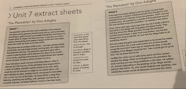 Solved: 'The Plantation' by Ovo Adagha CAMBRIDGE LOWER SECONDARY ...