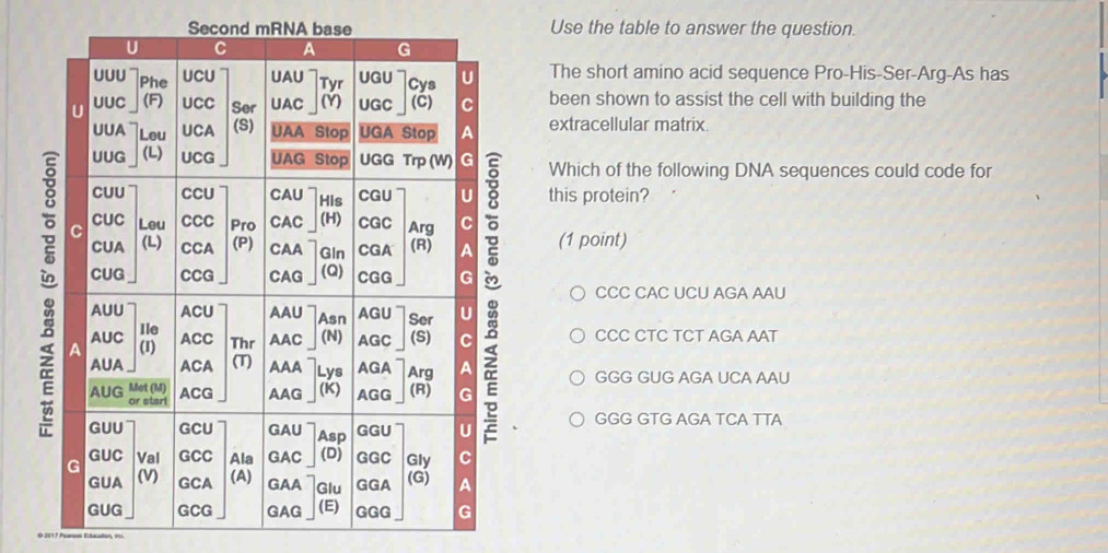 Second m Use the table to answer the question.
The short amino acid sequence Pro-His-Ser-Arg-As has
been shown to assist the cell with building the
extracellular matrix.
Which of the following DNA sequences could code for
this protein?
(1 point)
CCC CAC UCU AGA AAU
CCC CTC TCT AGA AAT
GGG GUG AGA UCA AAU
GGG GTG AGA TCA TTA
620 1 7 Poos Etaalo, 1