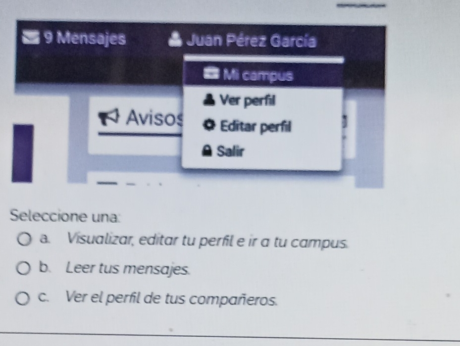 Seleccione una:
a. Visualizar, editar tu perfil e ir a tu campus.
b. Leer tus mensajes.
c. Ver el perfil de tus compañeros.