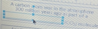 A carbon @om was in the atmosphere
300 mill on years ago as part of a
(CO_2 molecule
