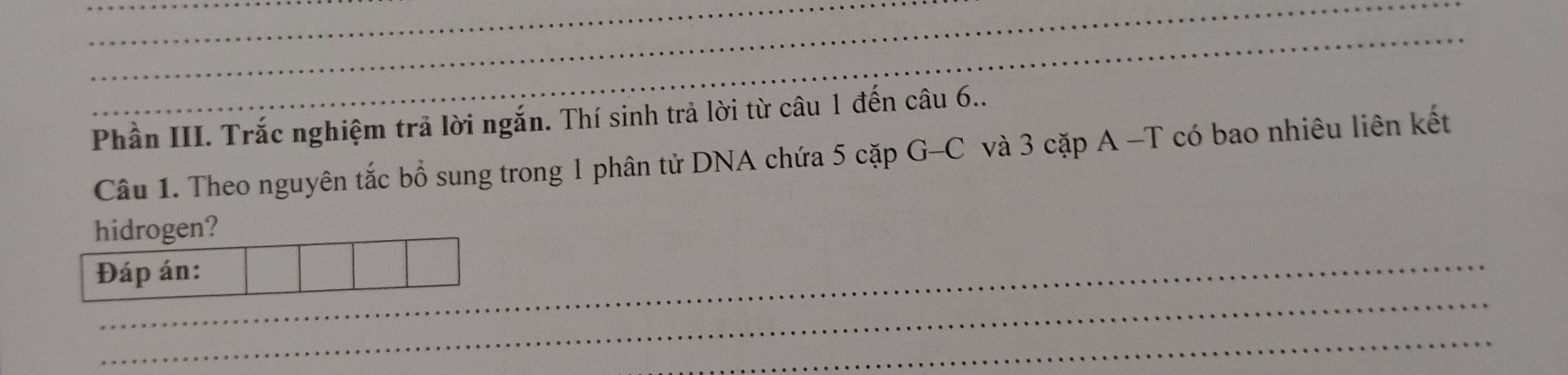 Phần III. Trắc nghiệm trả lời ngắn. Thí sinh trả lời từ câu 1 đến câu 6.. 
Câu 1. Theo nguyên tắc bổ sung trong 1 phân tử DNA chứa 5 cặp G-C và 3 cặp A -T có bao nhiêu liên kết 
hidrogen? 
Đáp án: 
_