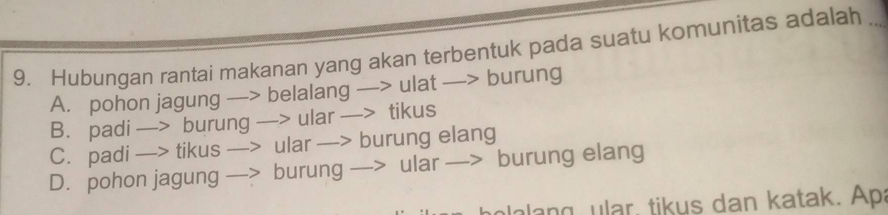 Hubungan rantai makanan yang akan terbentuk pada suatu komunitas adalah_
A. pohon jagung —> belalang —> ulat —> burung
B. padi —> burung —> ular —> tikus
C. padi —> tikus —> ular —> burung elang
D. pohon jagung —> burung —> ular —> burung elang
ang , ular, tikus dan katak. Apa