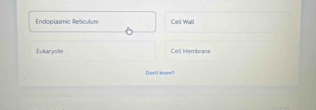 Endoplasmic Reticulum Cell Wall
Eukaryote Cell Membrane
Don't know?