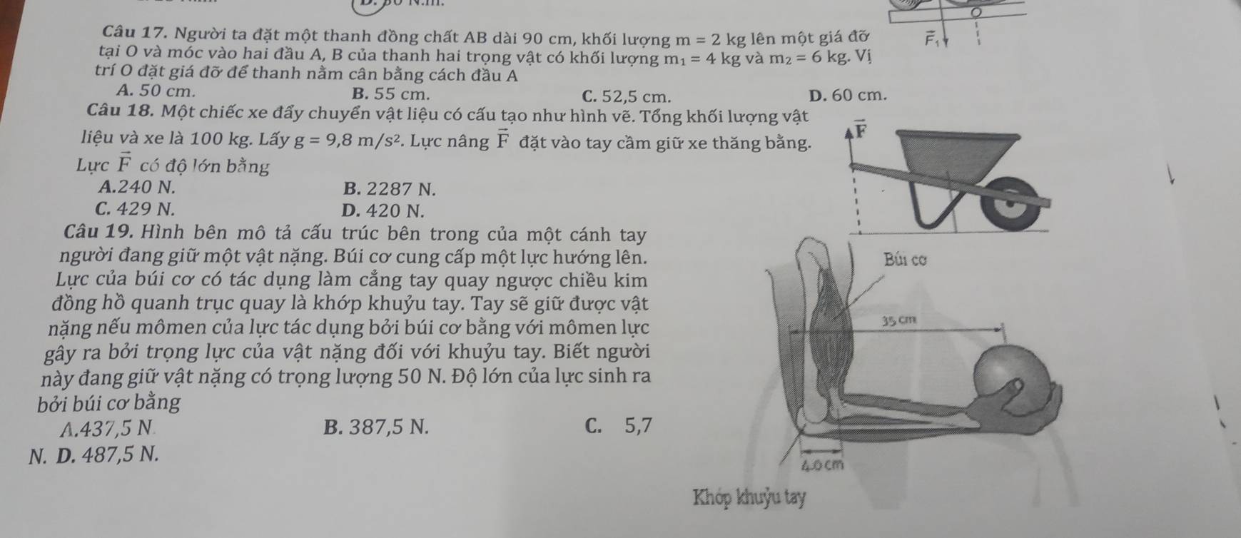 Người ta đặt một thanh đồng chất AB dài 90 cm, khối lượng m=2kg lên một giá đỡ vector F_1
tại O và móc vào hai đầu A, B của thanh hai trọng vật có khối lượng m_1=4kg và m_2=6kg.Vi
trí O đặt giá đỡ để thanh nằm cân bằng cách đầu A
A. 50 cm. B. 55 cm. C. 52,5 cm. D. 60 cm.
Câu 18. Một chiếc xe đẩy chuyển vật liệu có cấu tạo như hình vẽ. Tổng khối lượng vật vector F
liệu và xe là 100 kg. Lấy g=9,8m/s^2. Lực nâng vector F đặt vào tay cầm giữ xe thăng bằng.
Lực vector F có độ lớn bằng
A. 240 N. B. 2287 N.
C. 429 N. D. 420 N.
Câu 19. Hình bên mô tả cấu trúc bên trong của một cánh tay
người đang giữ một vật nặng. Búi cơ cung cấp một lực hướng lên. Búi cơ
Lực của búi cơ có tác dụng làm cẳng tay quay ngược chiều kim
đồng hồ quanh trục quay là khớp khuỷu tay. Tay sẽ giữ được vật
nặng nếu mômen của lực tác dụng bởi búi cơ bằng với mômen lực
35 cm
gây ra bởi trọng lực của vật nặng đối với khuỷu tay. Biết người
này đang giữ vật nặng có trọng lượng 50 N. Độ lớn của lực sinh ra
bởi búi cơ bằng
A. 437,5 N B. 387,5 N. C. 5,7
N. D. 487,5 N.
40 cm
Khóp khuỷu tay