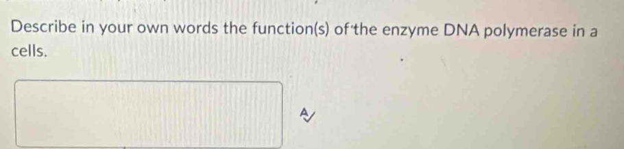 Describe in your own words the function(s) of the enzyme DNA polymerase in a 
cells. 
A