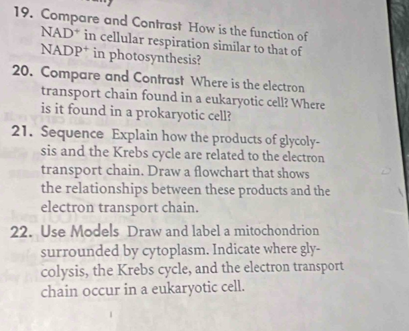 Compare and Contrast How is the function of 
NAD* in cellular respiration similar to that of 
NADP† in photosynthesis? 
20. Compare and Contrast Where is the electron 
transport chain found in a eukaryotic cell? Where 
is it found in a prokaryotic cell? 
21. Sequence Explain how the products of glycoly- 
sis and the Krebs cycle are related to the electron 
transport chain. Draw a flowchart that shows 
the relationships between these products and the 
electron transport chain. 
22. Use Models Draw and label a mitochondrion 
surrounded by cytoplasm. Indicate where gly- 
colysis, the Krebs cycle, and the electron transport 
chain occur in a eukaryotic cell.