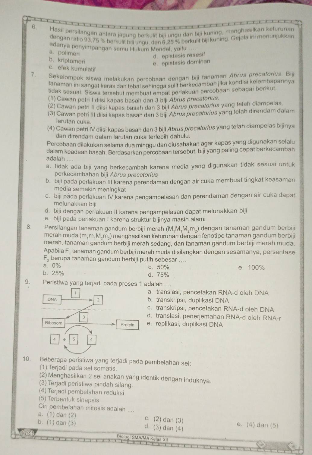 Hasil persilangan antara jagung berkulit biji ungu dan biji kuning, menghasilkan keturunan
dengan ratio 93,75 % berkulit biji ungu, dan 6,25 % berkulit biji kuning. Gejala ini menunjukkan
adanya penyimpangan semu Hukum Mendel, yaitu
a. polimeri
d. epistasis resesif
b. kriptomeri
e. epistasis dominan
c. efek kumulatif
7. Sekelompok siswa melakukan percobaan dengan biji tanaman Abrus precatorius. Biji
tanaman ini sangat keras dan tebal sehinqqa sulit berkecambah jika kondisi kelembaparinya
tidak sesuai. Siswa tersebut membuat empat perlakuan percobaan sebagai berikut
(1) Cawan petri I diisi kapas basah dan 3 biji Abrus precatorius.
(2) Cawan petri II diisi kapas basah dan 3 biji Abrus precatorius yang telah diampelas
(3) Cawan petri III diisi kapas basah dan 3 biji Abrus precatorius yang telah direndam dalam
larutan cuka.
(4) Cawan petri IV diisi kapas basah dan 3 biji Abrus precatorius yang telah diampelas bijinya
dan direndam dalam larutan cuka terlebih dahulu.
Percobaan dilakukan selama dua minggu dan diusahakan agar kapas yang digunakan selalu
dalam keadaan basah. Berdasarkan percobaan tersebut, biji yang paling cepat berkecambah
adalah ....
a. tidak ada biji yang berkecambah karena media yang digunakan tidak sesuai untuk
perkecambahan biji Abrus precatorius.
b. biji pada perlakuan III karena perendaman dengan air cuka membuat tingkat keasaman
media semakin meningkat
c. biji pàda perlakuan IV karena pengampelasan dan perendaman dengan air cuka dapat
melunakkan biji
d. biji dengan perlakuan II karena pengampelasan dapat melunakkan biji
e. biji pada perlakuan I karena struktur bijinya masih alami
8. Persilangan tanaman gandum berbiji merah (M_1M_1M_2m_2) dengan tanaman gandum berbiji
merah muda (m_1m_1M_2m_2) menghasilkan keturunan dengan fenotipe tanaman gandum berbiji
merah, tanaman gandum berbiji merah sedang, dan tanaman gandum berbiji merah muda.
Apabila F, tanaman gandum berbiji merah muda disilangkan dengan sesamanya, persentase
F_2 berupa tanaman gandum berbiji putih sebesar ....
a. 0% c. 50% e. 100%
b. 25% d. 75%
9. Peristiwa yang terjadi pada proses 1 adalah ....
a. translasi, pencetakan RNA-d oleh DNA
b. transkripsi, duplikasi DNA
c. transkripsi, pencetakan RNA-d oleh DNA
d. translasi, penerjemahan RNA-d oleh RNA-r
e. replikasi, duplikasi DNA
10. Beberapa peristiwa yang terjadi pada pembelahan sel:
(1) Terjadi pada sel somatis.
(2) Menghasilkan 2 sel anakan yang identik dengan induknya.
(3) Terjadi peristiwa pindah silang.
(4) Terjadi pembelahan reduksi.
(5) Terbentuk sinapsis.
Ciri pembelahan mitosis adalah ....
a. (1) dan (2) c. (2) dan (3) e. (4) dan (5)
b. (1) dan (3)
d. (3) dan (4)
124
Biologi SMA/MA Kelas XII
