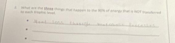 What are the three things that happen to the 90% of energy that is NOT transferred 
to sach trophic level. 
_ 
_ 
_