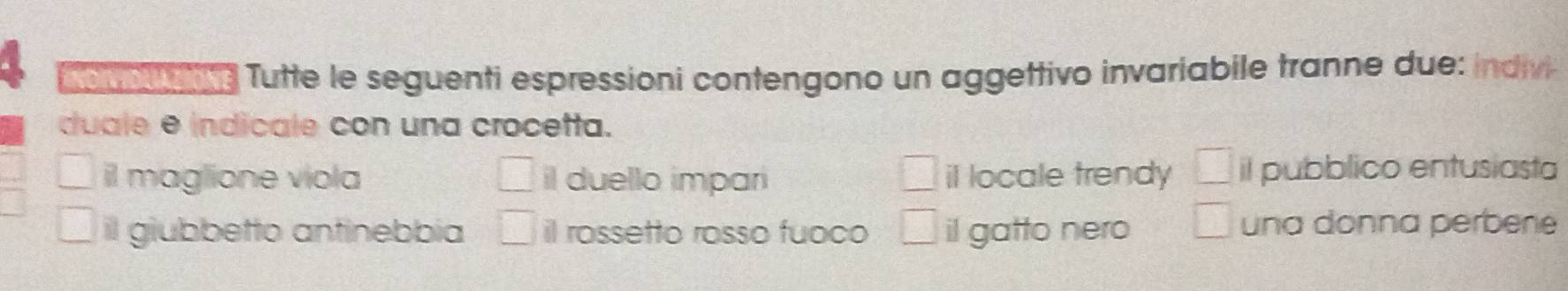 IND DUA ONE Tutte le seguenti espressioni contengono un aggettivo invariabile tranne due: indivi
duale e indicale con una crocetta.
il maglione viola □ il duello impari il locale trendy il pubblico entusiasta
il giubbetto antinebbia □ il rossetto rosso fuoco □ il gatto nero □ una donna perbene