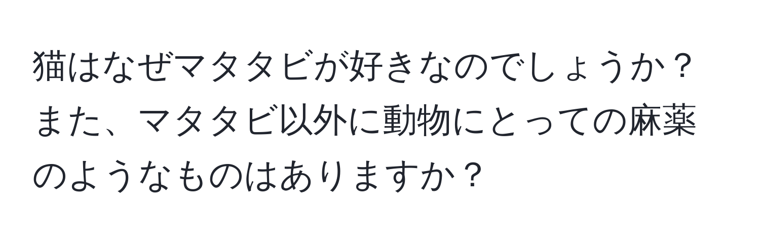 猫はなぜマタタビが好きなのでしょうか？また、マタタビ以外に動物にとっての麻薬のようなものはありますか？