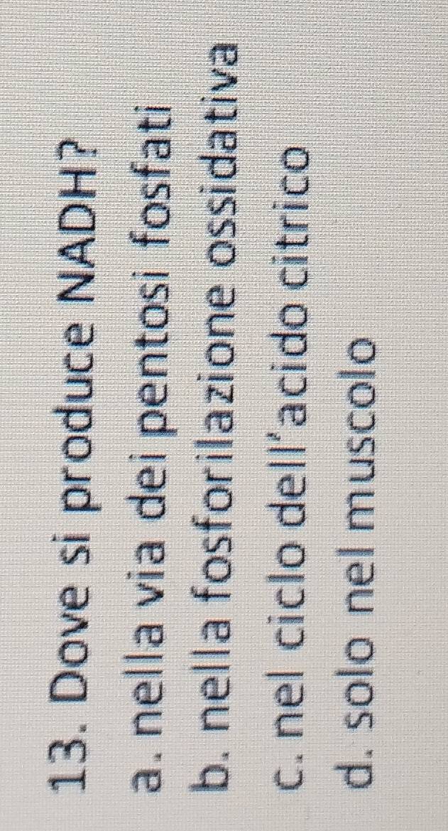 Dove si produce NADH?
a. nella via dei pentosi fosfati
b. nella fosforilazione ossidativa
c. nel ciclo dell’acido citrico
d. solo nel muscolo