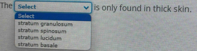 The Select is only found in thick skin.
Select
stratum granulosum
stratum spinosum
stratum lucidum
stratum basale
