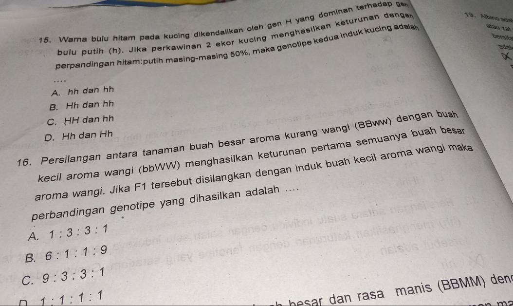 Warna bulu hitam pada kucing dikendalikan oleh gen H yang dominan terhadap ge
bulu putih (h). Jika perkawinan 2 ekor kucing menghasilkan keturunan denga
19. Albino adal
perpandingan hitam:putih masing-masing 50%, maka genotipe kedua induk kucing adala
atau zat
bersifa
adal
....
A. hh dan hh
B. Hh dan hh
C. HH dan hh
D. Hh dan Hh
16. Persilangan antara tanaman buah besar aroma kurang wangi (BBww) dengan buah
kecil aroma wangi (bbWW) menghasilkan keturunan pertama semuanya buah besar
aroma wangi. Jika F1 tersebut disilangkan dengan induk buah kecil aroma wangi maka
perbandingan genotipe yang dihasilkan adalah ....
A. 1:3:3:1
B. 6:1:1:9
C. 9:3:3:1
D 1:1:1:1
bar dan rasa manis (BBMM) den