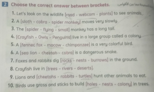 Choose the correct answer between brackets. ulgé d) Gu laata 
1. Let's look on the wildlife [road - webcam - plants] to see animals 
2. A [sloth - cobra - spider monkey) moves very slowly. 
3. The [spider - flying - small) monkey has a long tail. 
4. [Crayfish - Owis - Penguins] live in a large group called a colony. 
5. A [fennec fox - macaw - chimpanzee) is a very colorful bird. 
6. A [sea lion - cheetah - cobra] is a dangerous snake. 
7. Foxes and rabbits dig [rocks - nests - burrows] in the ground. 
8. Crayfish live in [trees - rivers - deserts]. 
9. Lions and [cheetahs - rabbits - turtles] hunt other animals to eat. 
10. Birds use grass and sticks to build (holes - nests - colony) in trees.